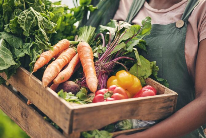vegtetable